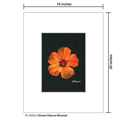 Chinese Hibiscus Bloomed, Print (#7263A)