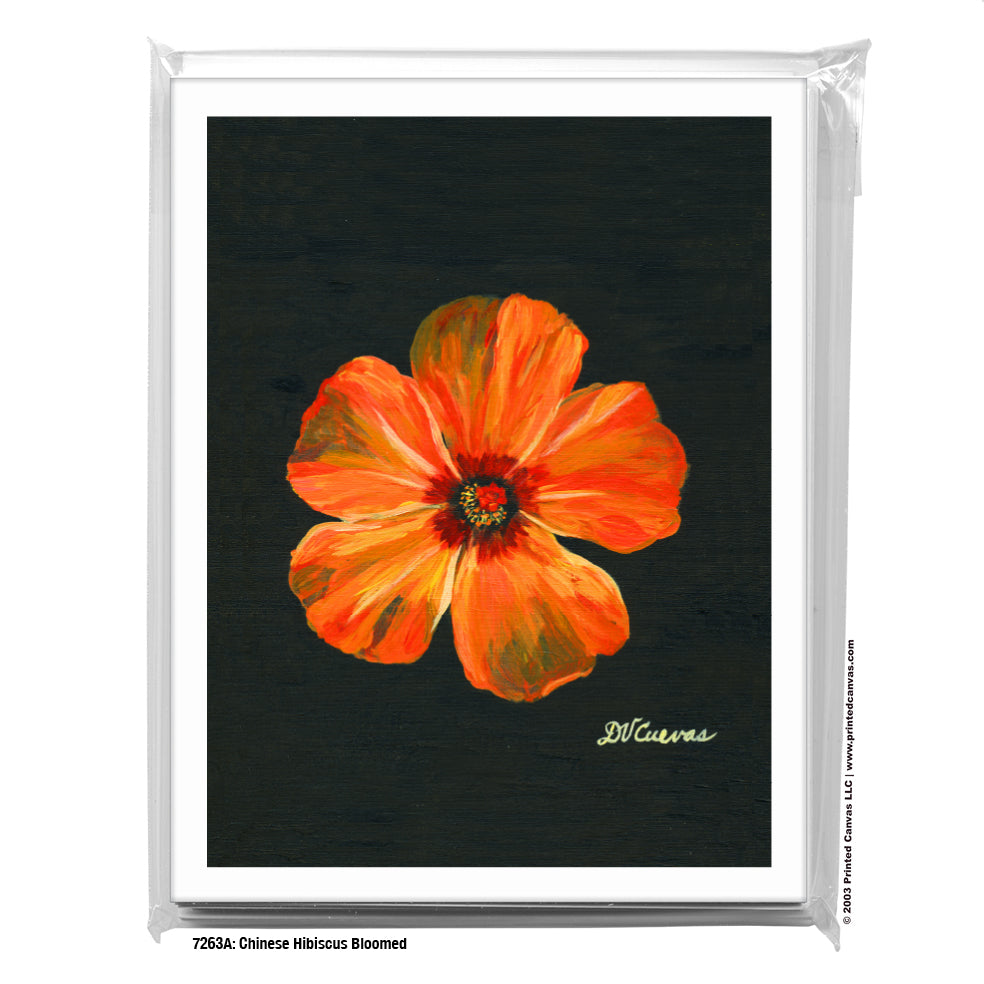 Chinese Hibiscus Bloomed, Greeting Card (#7263A)