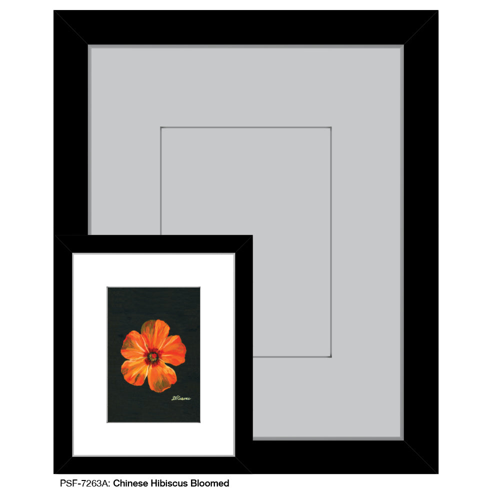 Chinese Hibiscus Bloomed, Print (#7263A)