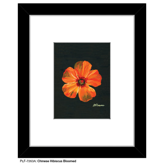 Chinese Hibiscus Bloomed, Print (#7263A)