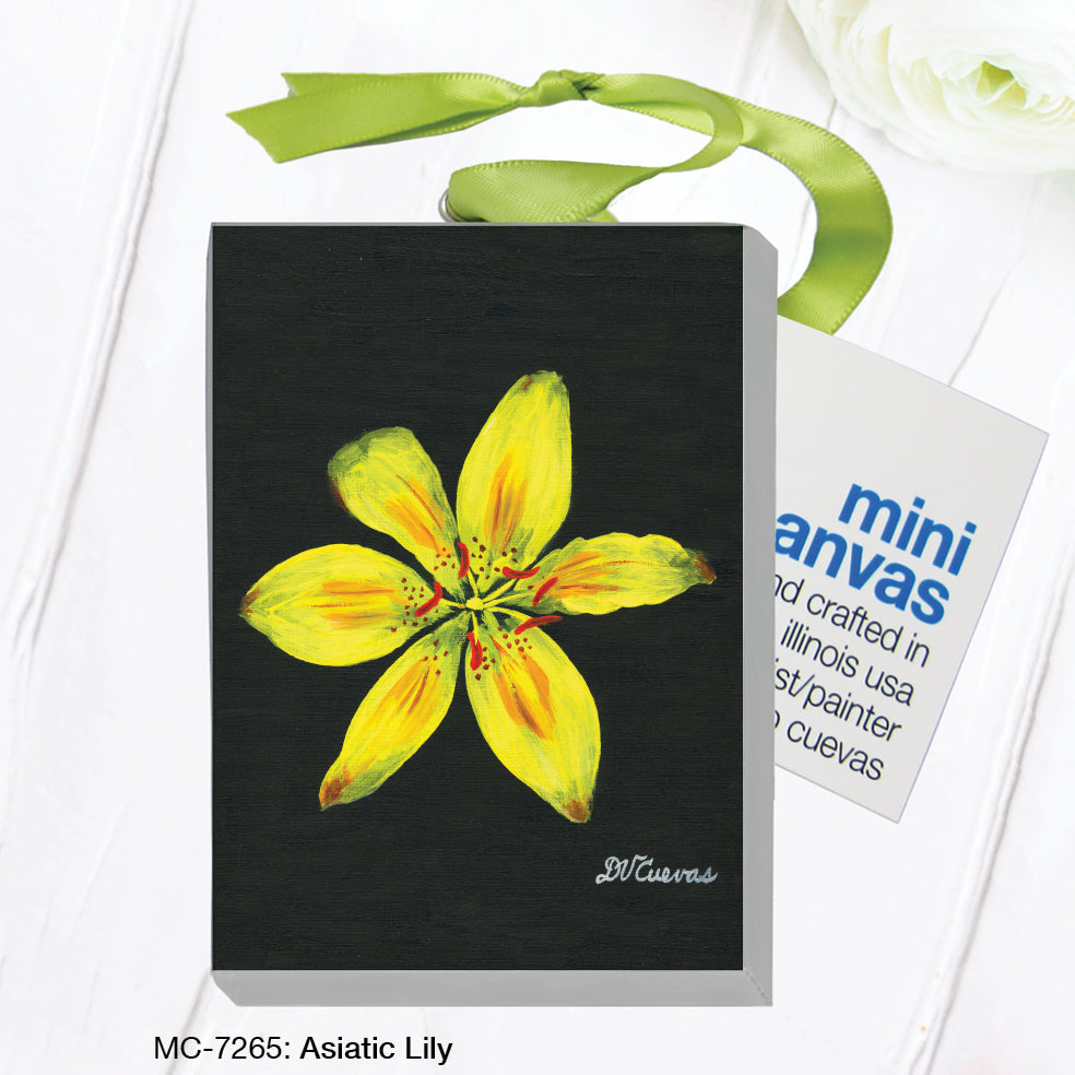 Asiatic Lily (MC-7265)