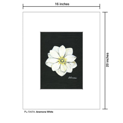 Anemone White, Print (#7267A)