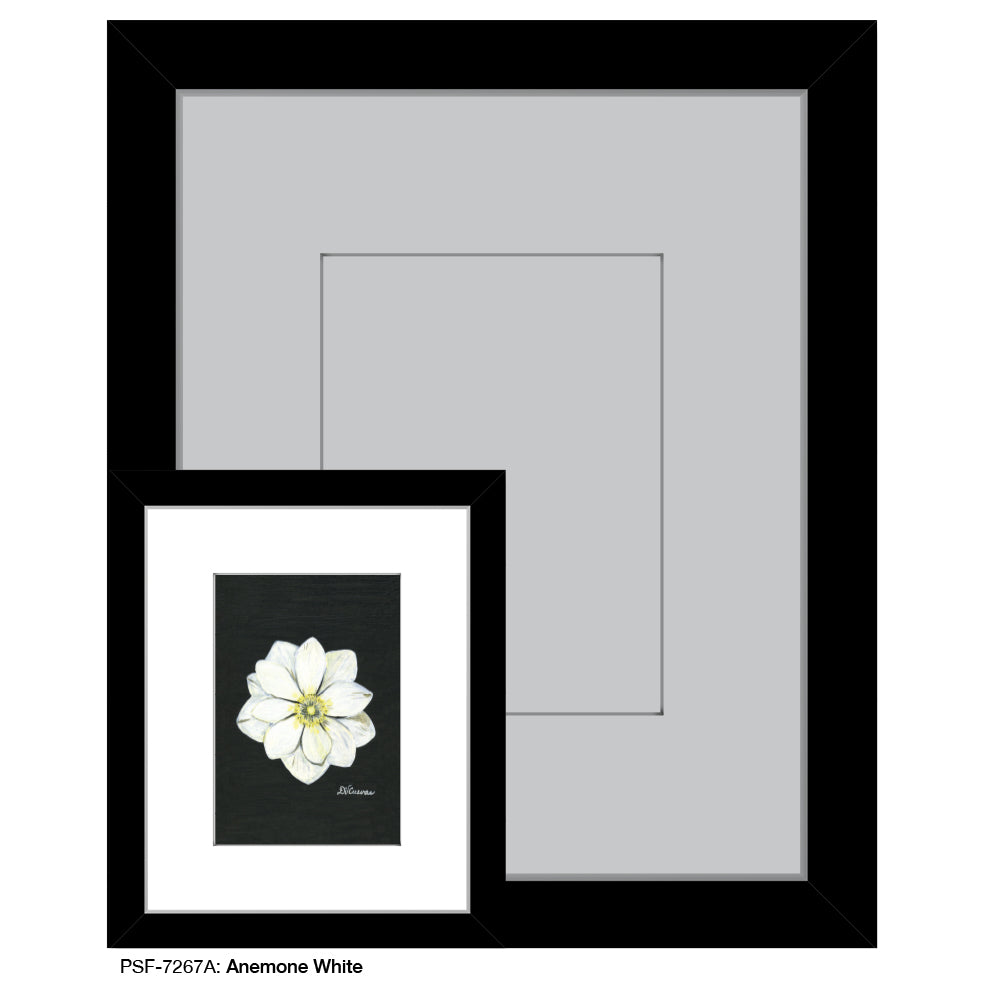 Anemone White, Print (#7267A)
