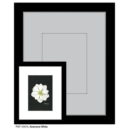 Anemone White, Print (#7267A)
