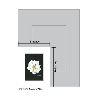 Anemone White, Print (#7267A)