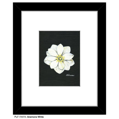 Anemone White, Print (#7267A)