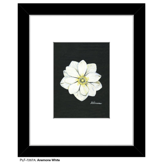 Anemone White, Print (#7267A)