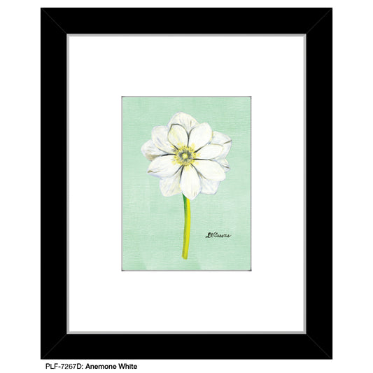 Anemone White, Print (#7267D)