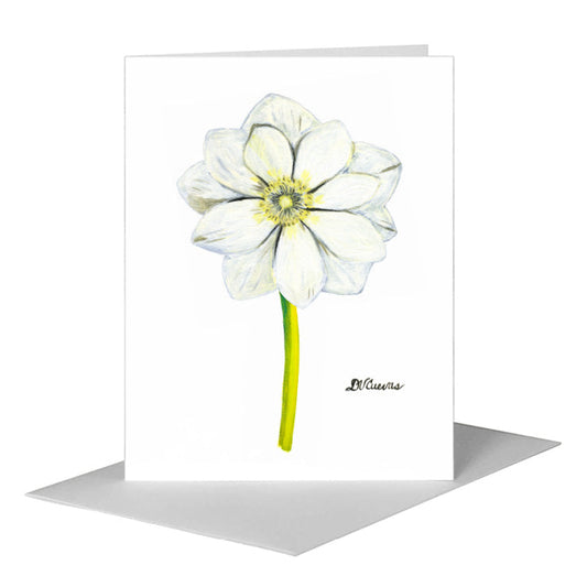 Anemone White, Greeting Card (#7267F) A2 Card Front, www.printedcanvas.com