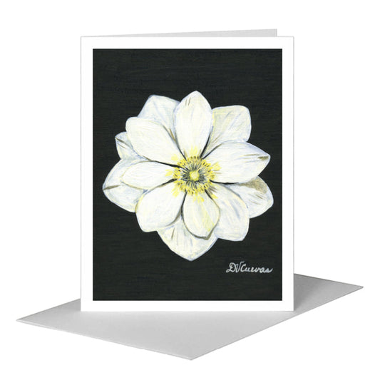 Anemone White, Greeting Card (#7267A) A2 Card Front, www.printedcanvas.com