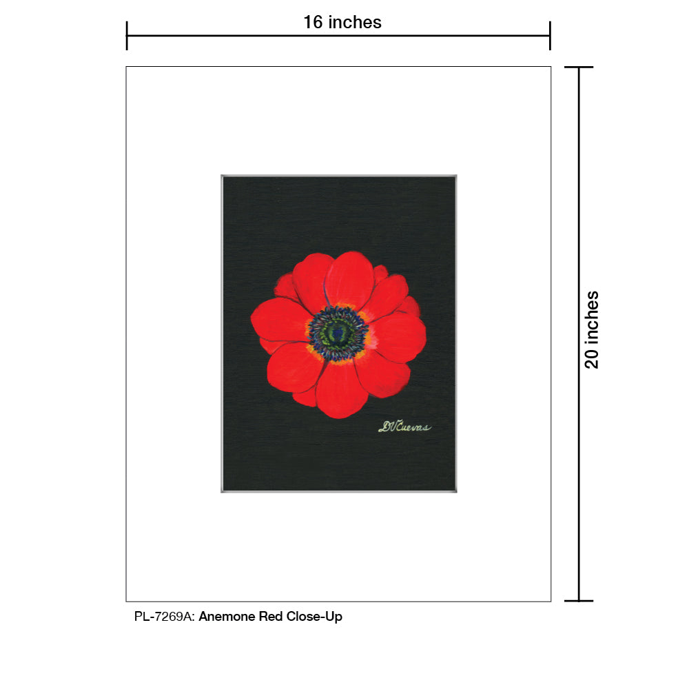 Anemone Red Close-Up, Print (#7269A)