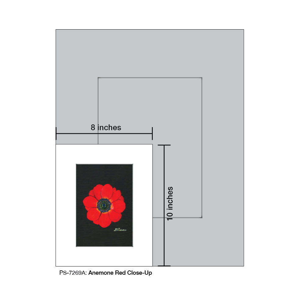 Anemone Red Close-Up, Print (#7269A)