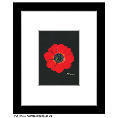 Anemone Red Close-Up, Print (#7269A)
