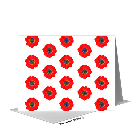 Anemone Red Close-Up, Greeting Card (#7269J)