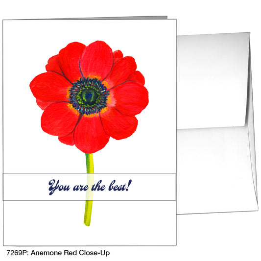 Anemone Red Close-Up, Greeting Card (7269P)