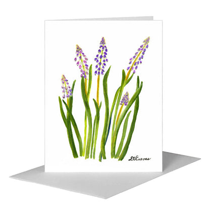 Hyacinth, Greeting Card (#7274A), A2 Card Front, www.printedcanvas.com