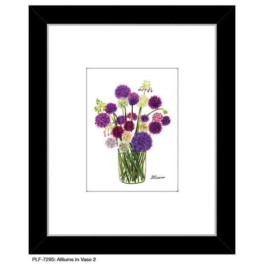 Alliums in Vase 2, Print (#7295A), Print Matted, www.printedcanvas.com