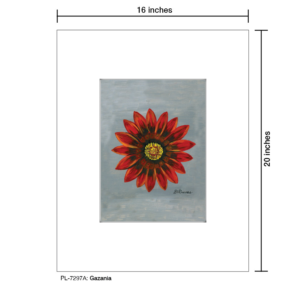 Gazania, Print (#7297A)