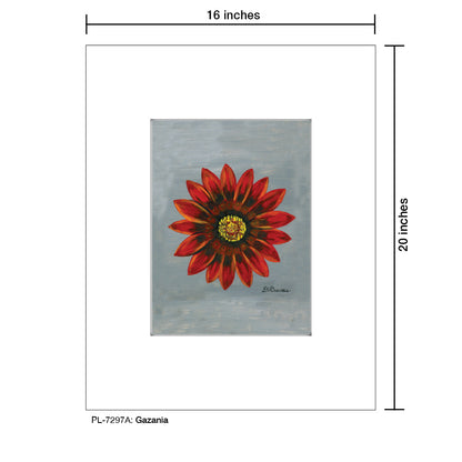 Gazania, Print (#7297A)