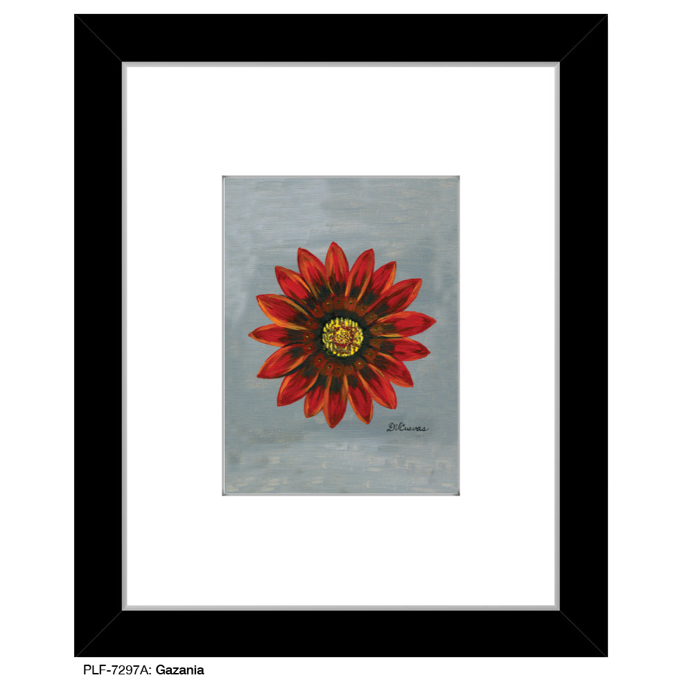 Gazania, Print (#7297A)