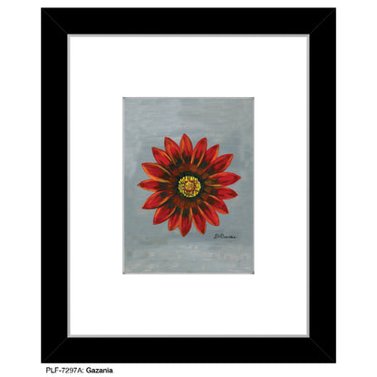 Gazania, Print (#7297A)
