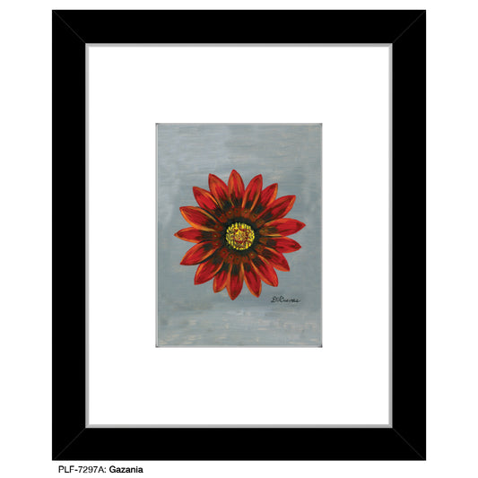 Gazania, Print (#7297A)