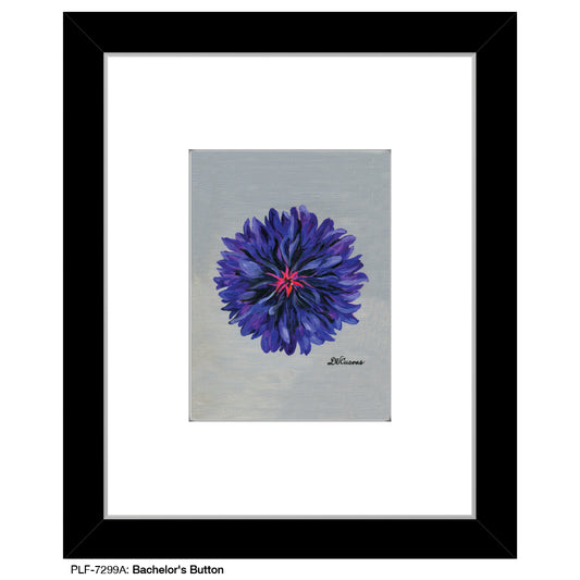 Bachelor's Button, Print (#7299A)