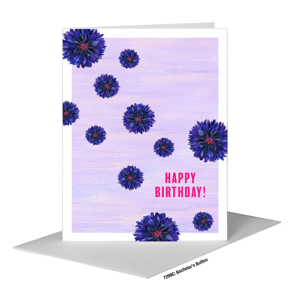 Bachelor's Button, Greeting Card (#7299C)