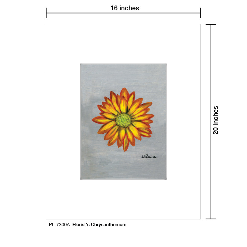 Florist's Chrysanthemum, Print (#7300A)