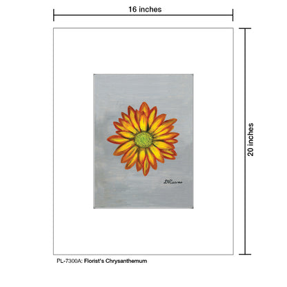 Florist's Chrysanthemum, Print (#7300A)