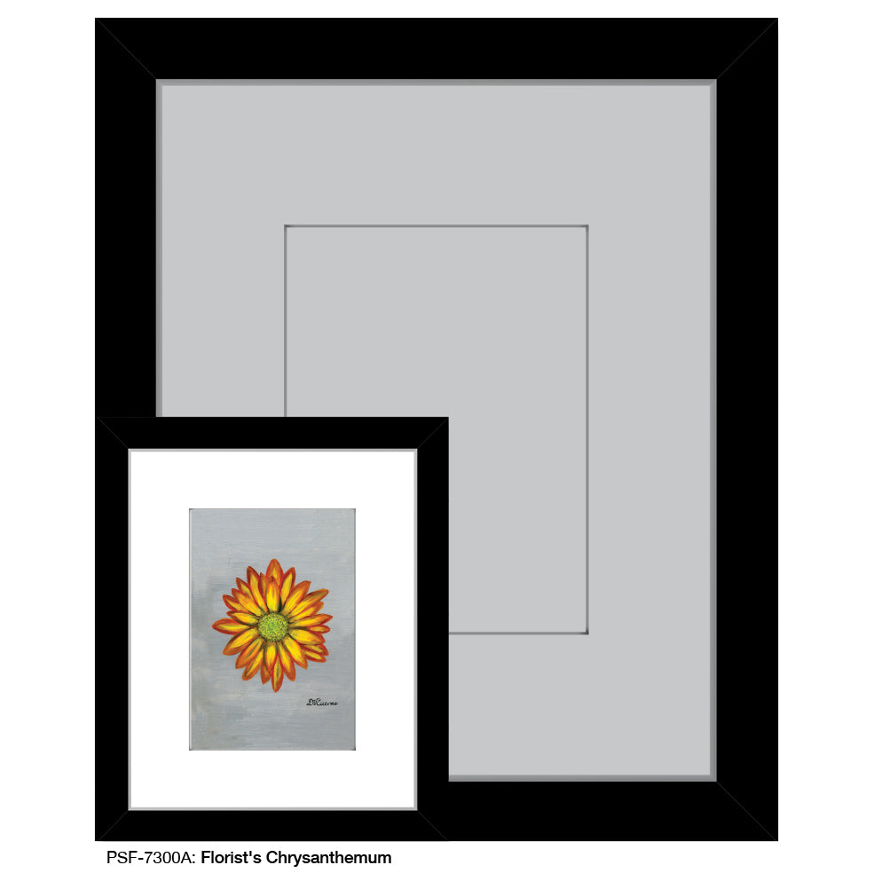 Florist's Chrysanthemum, Print (#7300A)