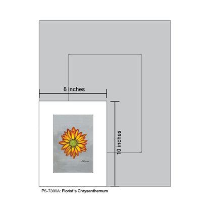 Florist's Chrysanthemum, Print (#7300A)