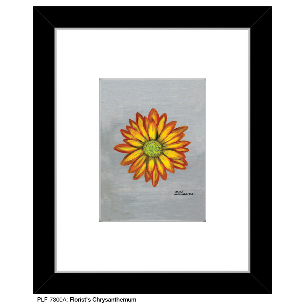 Florist's Chrysanthemum, Print (#7300A)