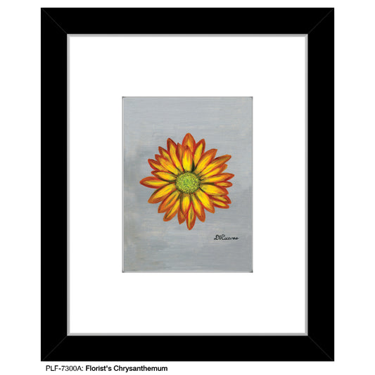 Florist's Chrysanthemum, Print (#7300A)