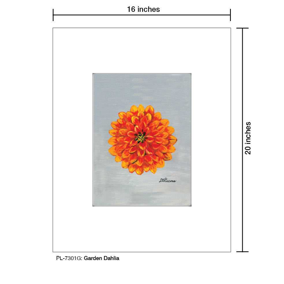 Garden Dahlia, Print (#7301G)