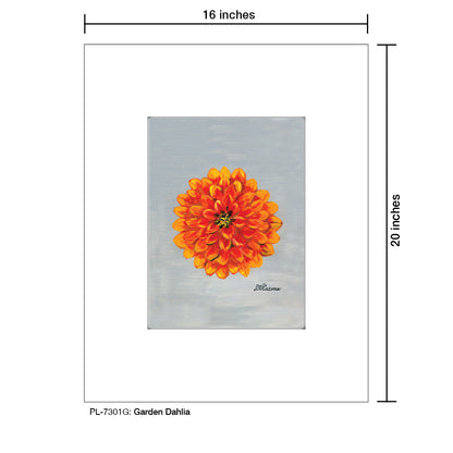Garden Dahlia, Print (#7301G)