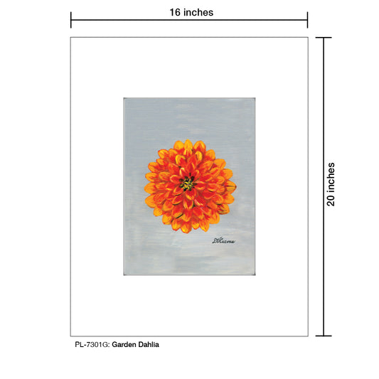 Garden Dahlia, Print (#7301G)