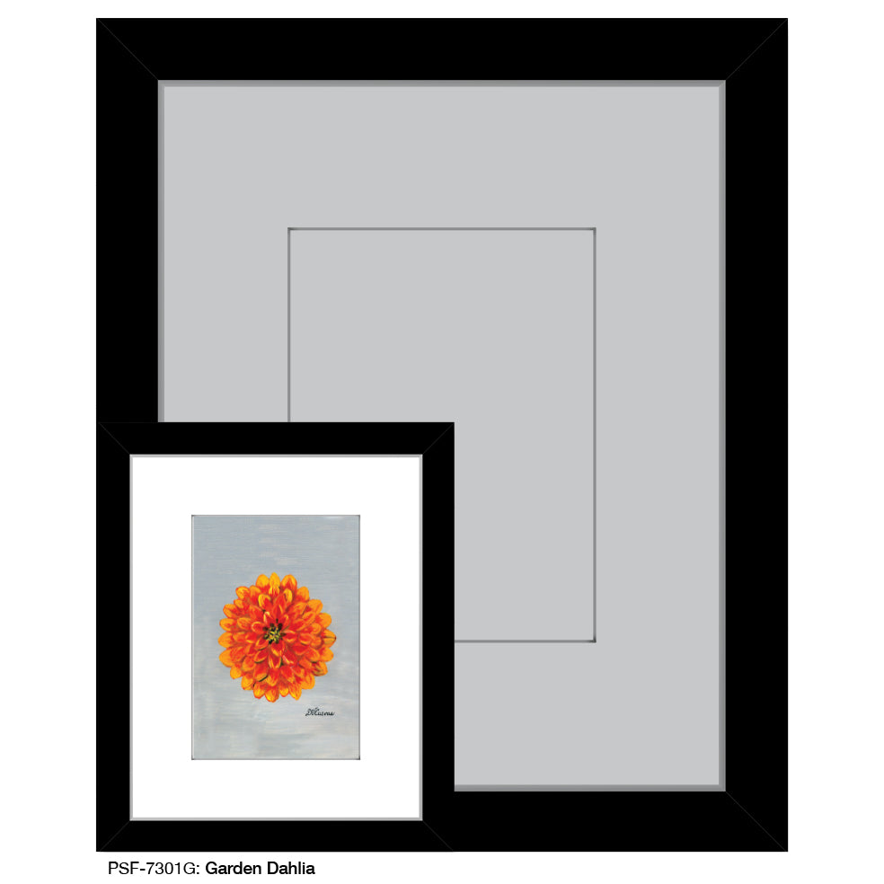 Garden Dahlia, Print (#7301G)