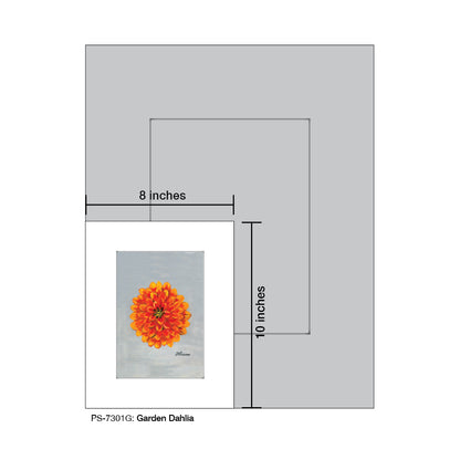 Garden Dahlia, Print (#7301G)