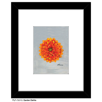 Garden Dahlia, Print (#7301G)