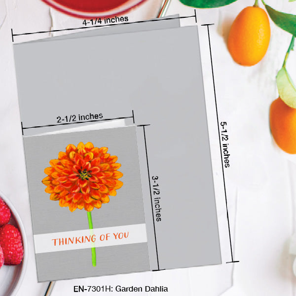 Garden Dahlia, Greeting Card (7301H), Enclosure, www.printedcanvas.com