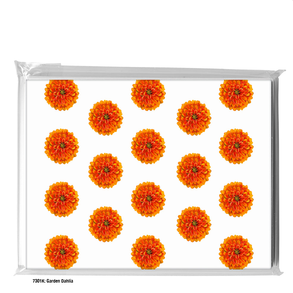 Garden Dahlia, Greeting Card (#7301K)