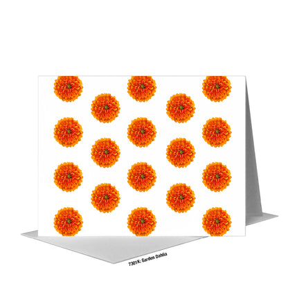 Garden Dahlia, Greeting Card (#7301K), A2 Card Front, www.printedcanvas.com