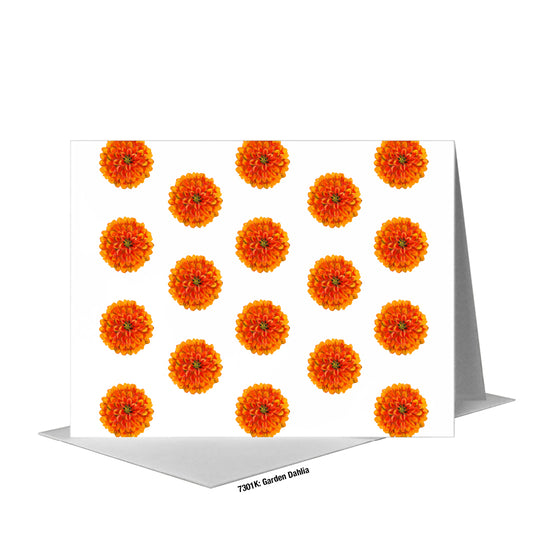 Garden Dahlia, Greeting Card (#7301K)