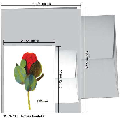 Protea Nerifolia, Greeting Card (7338), Enclosure, printedcanvas.com