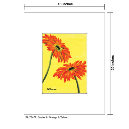 Gerber in Orange & Yellow, Print (#7347A), Printe Matted, www.printedcanvas.com
