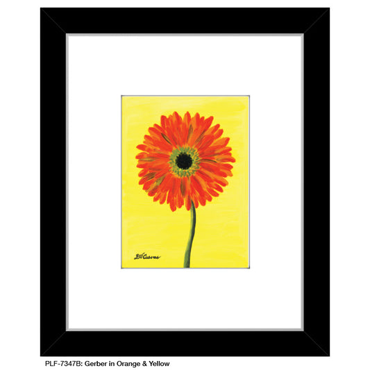 Gerber in Orange & Yellow, Print (#7347B)