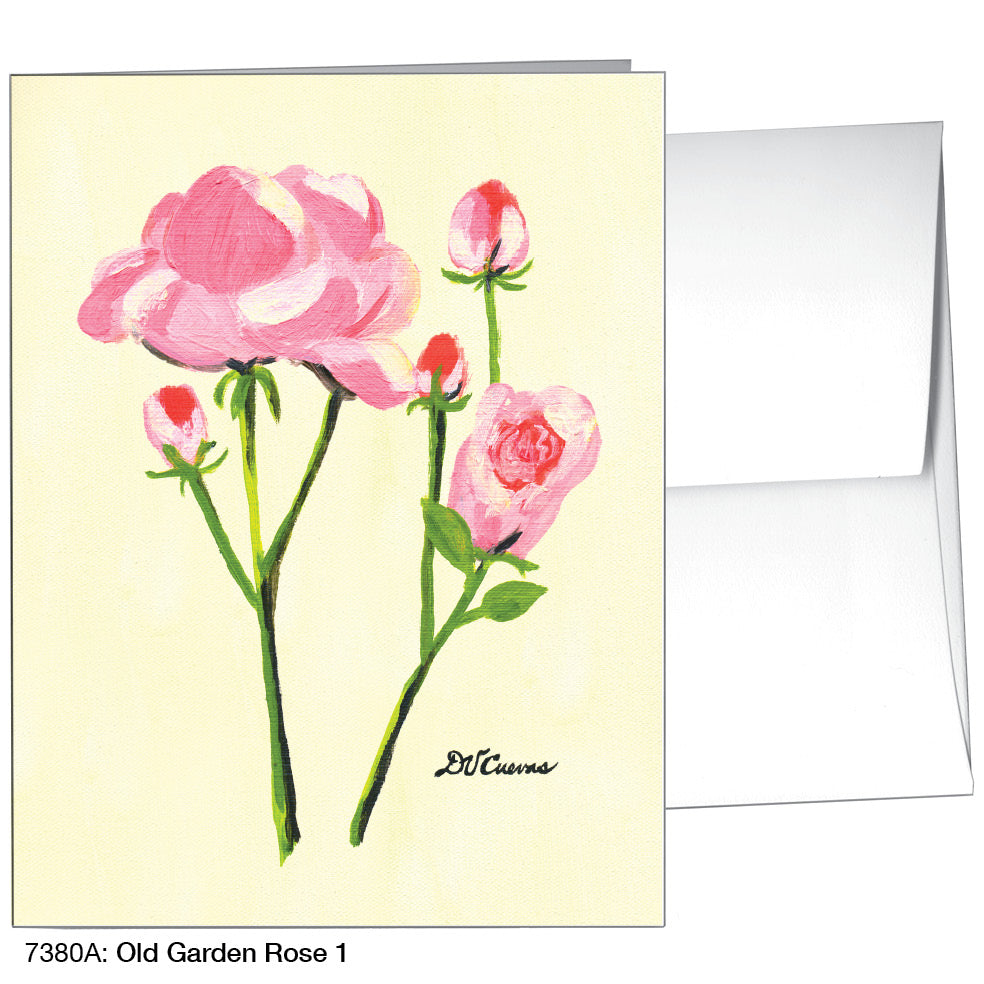 Old Garden Rose 1, Greeting Card (7380A)