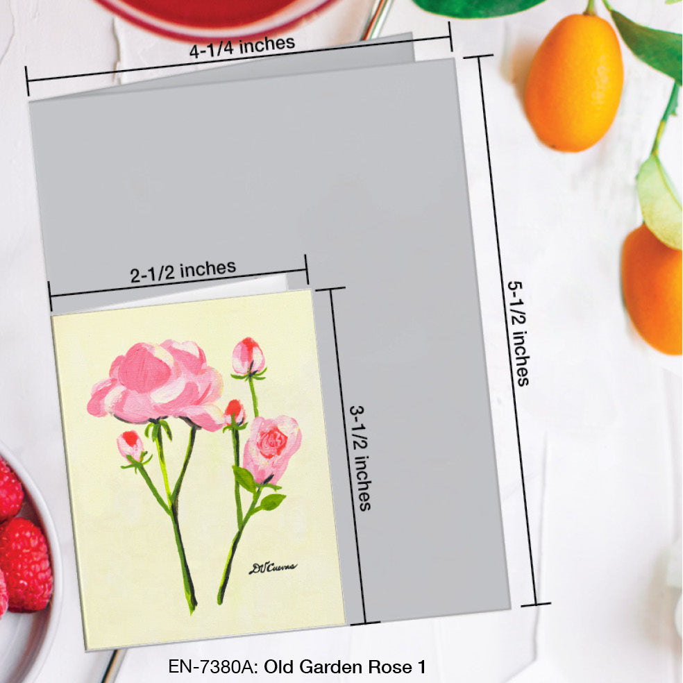 Old Garden Rose 1, Greeting Card (7380A), Enclosure Card, www.printedcanvas.com