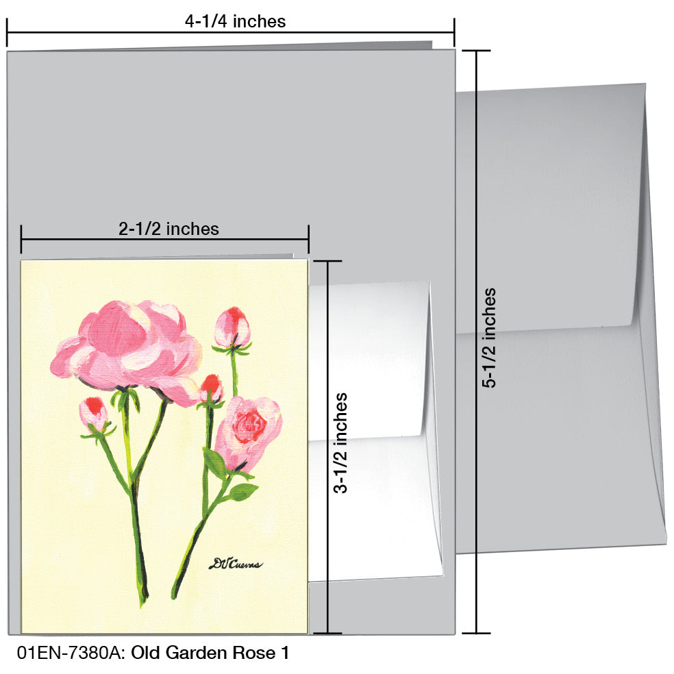Old Garden Rose 1, Greeting Card (7380A)